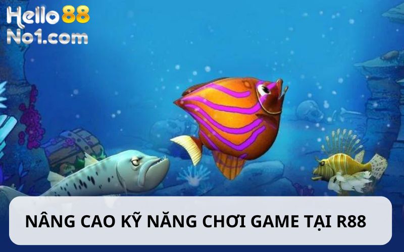 Nâng cao kỹ năng chơi game tại R88 bắn cá